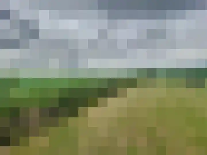 Sasdijkweg 3 Vogelwaarde thumbnail 30