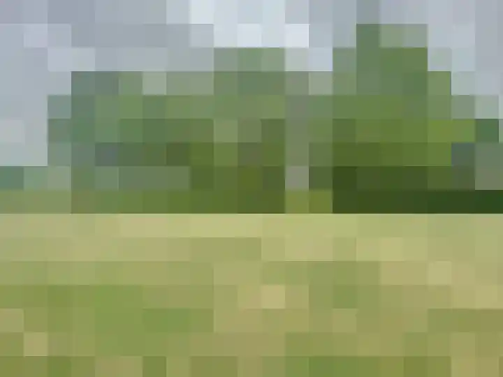 Sasdijkweg 3 Vogelwaarde thumbnail 31