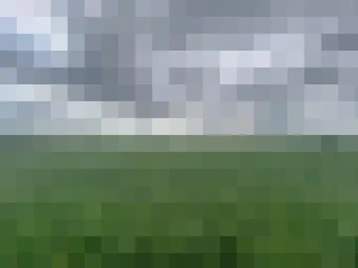 Sasdijkweg 3 Vogelwaarde thumbnail 32