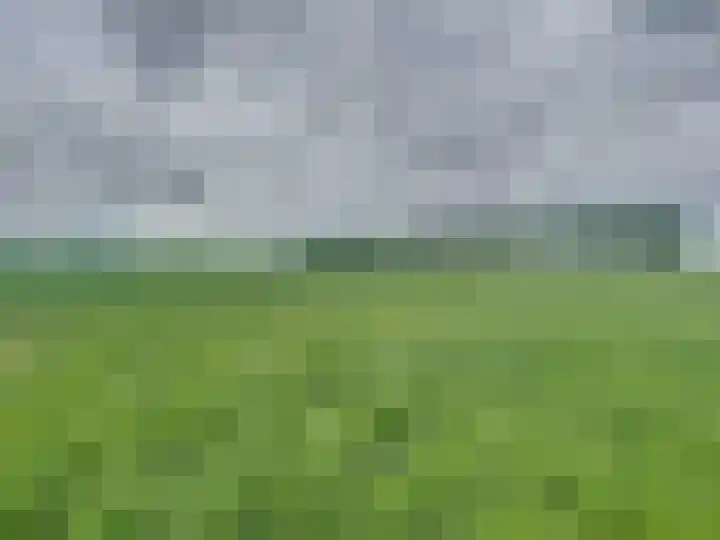 Sasdijkweg 3 Vogelwaarde thumbnail 33