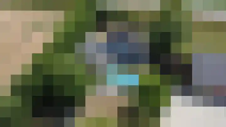Sasdijkweg 3 Vogelwaarde thumbnail 35