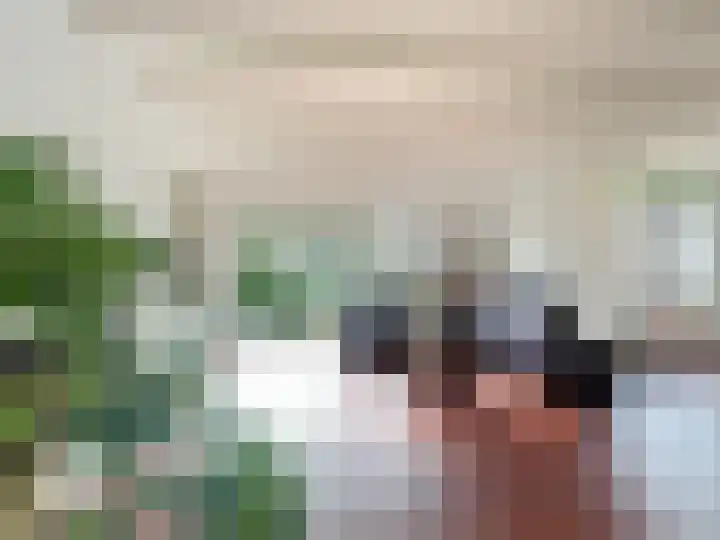 Sasdijkweg 3 Vogelwaarde thumbnail 4