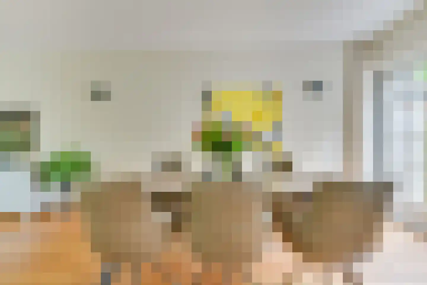Saskerstraat 87 Koedijk thumbnail 13