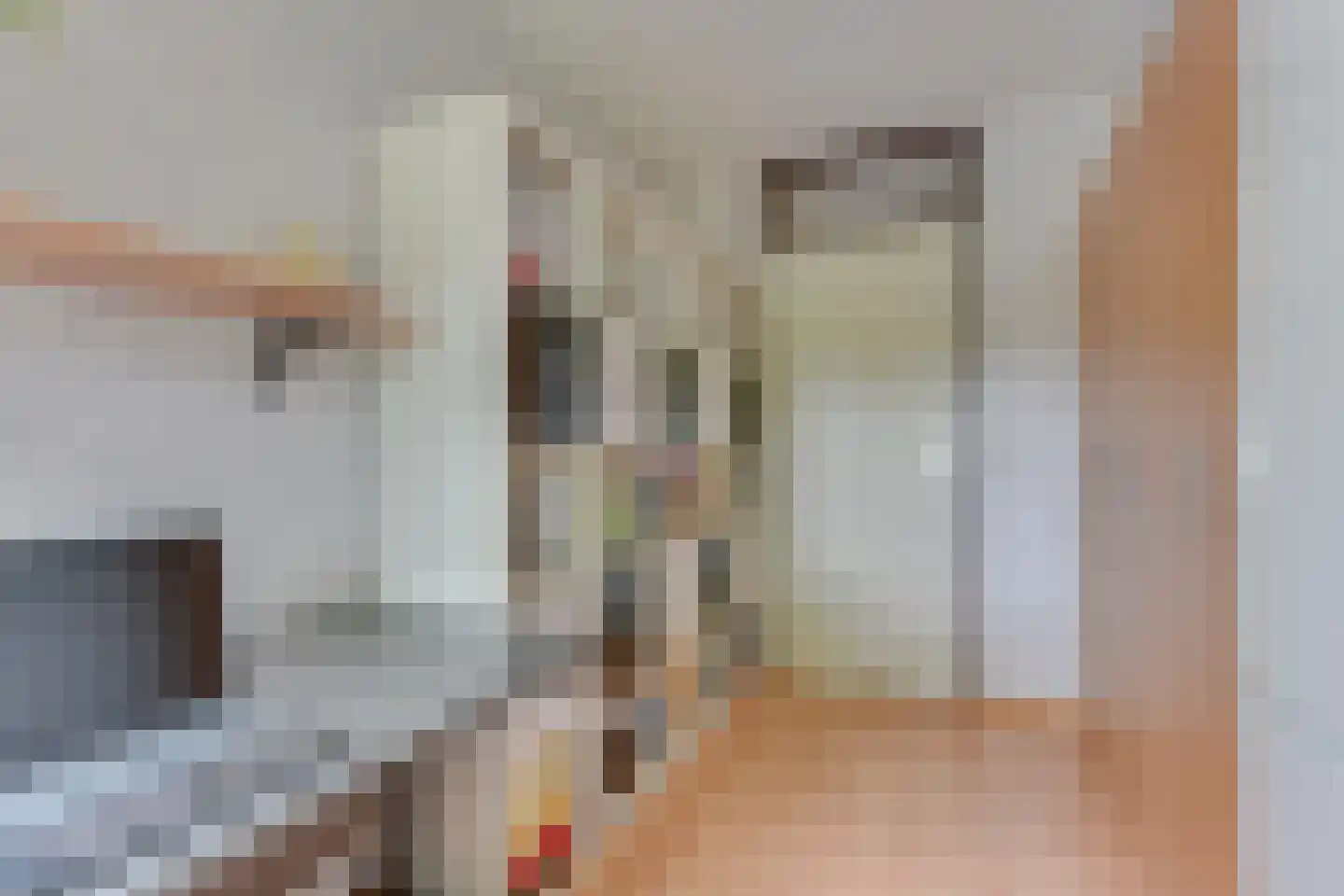 Saskerstraat 87 Koedijk thumbnail 23