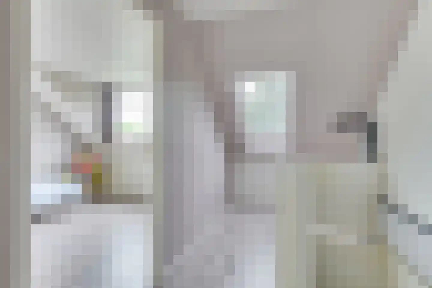 Saskerstraat 87 Koedijk thumbnail 31