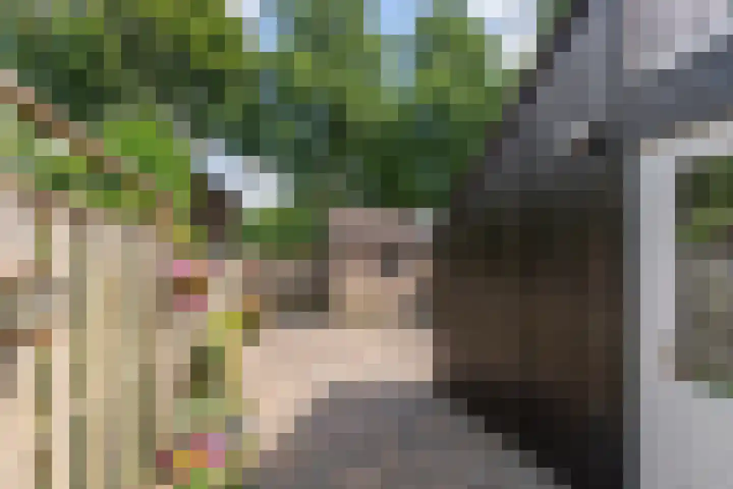 Saskerstraat 87 Koedijk thumbnail 36