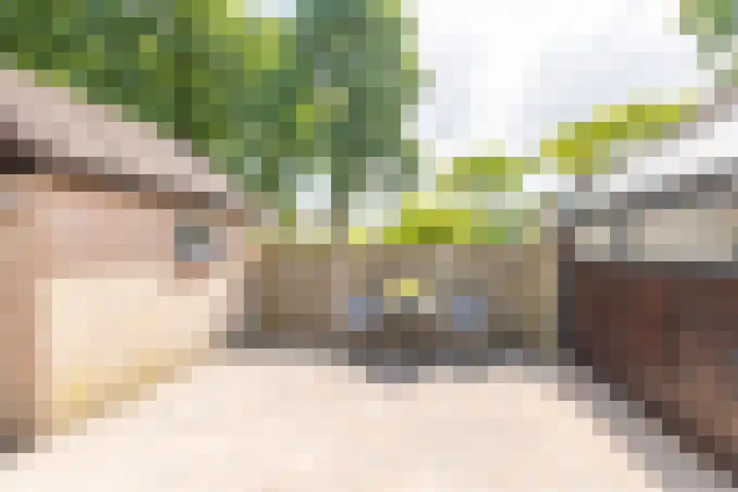 Saskerstraat 87 Koedijk thumbnail 38