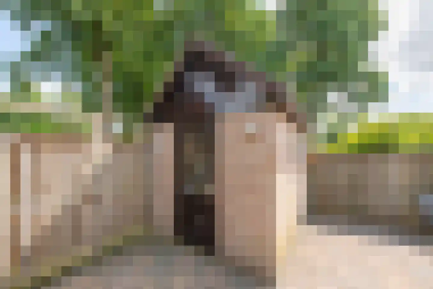 Saskerstraat 87 Koedijk thumbnail 40