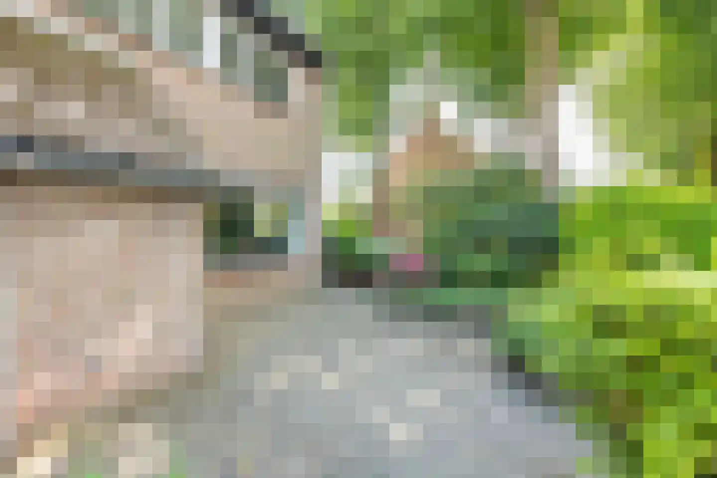 Saskerstraat 87 Koedijk thumbnail 41