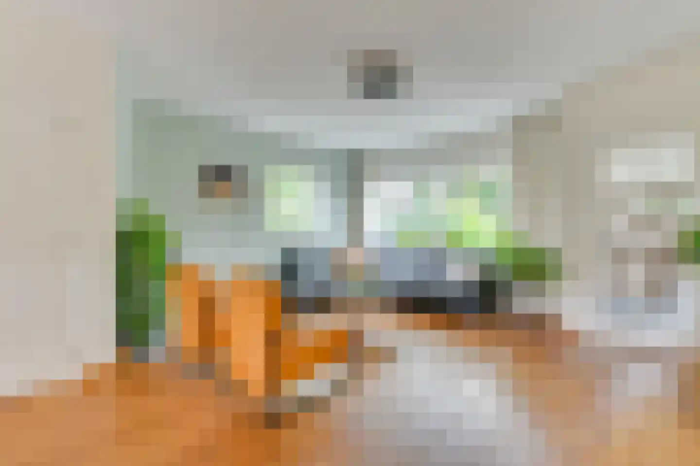 Saskerstraat 87 Koedijk thumbnail 9