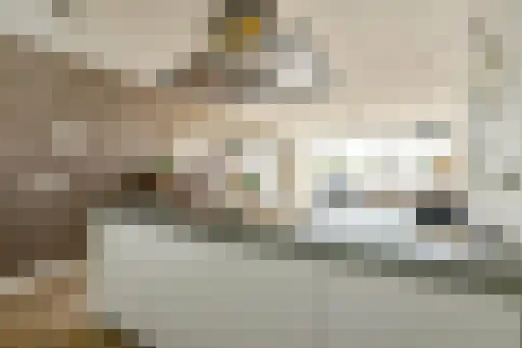 Saskia van Uijlenburgkade 10 Amsterdam thumbnail 12