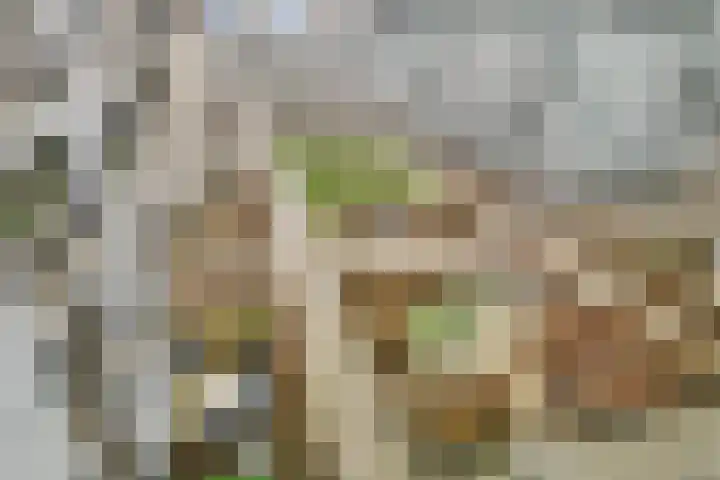 Saskia van Uijlenburgkade 122 Amsterdam thumbnail 19