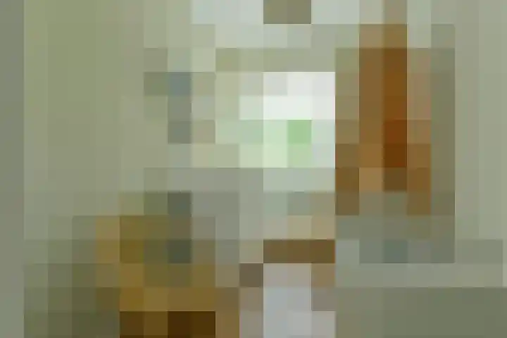 Saskia van Uijlenburgkade 131 Amsterdam thumbnail 18