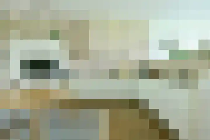 Saskia van Uijlenburgkade 131 Amsterdam thumbnail 4