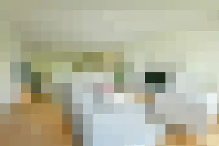 Saskia van Uijlenburgkade 131 Amsterdam thumbnail 6
