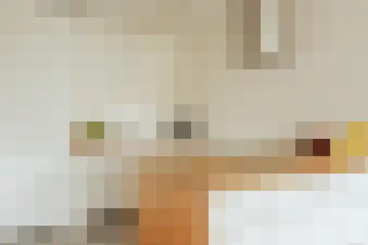 Saskia van Uijlenburgkade 137 Amsterdam thumbnail 13