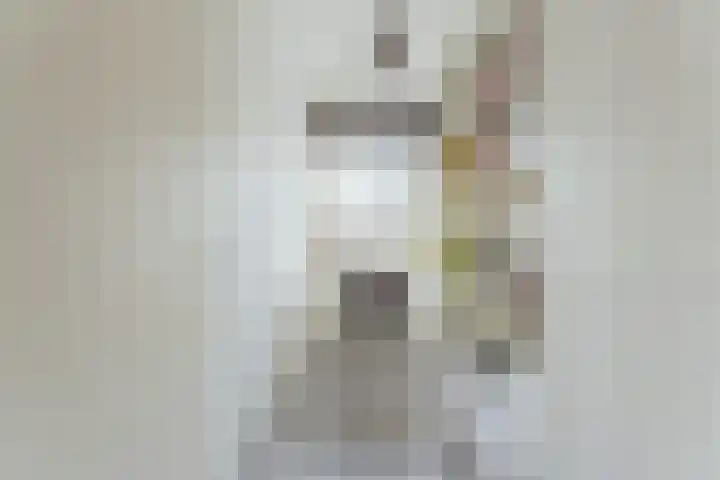 Saskia van Uijlenburgkade 137 Amsterdam thumbnail 19