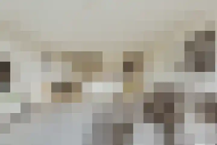 Saskia van Uijlenburgkade 137 Amsterdam thumbnail 43