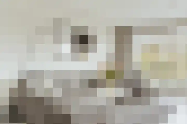 Saskia van Uijlenburgkade 137 Amsterdam thumbnail 5