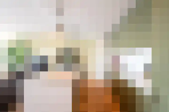 Saskia van Uijlenburgkade 14 Amsterdam thumbnail 12