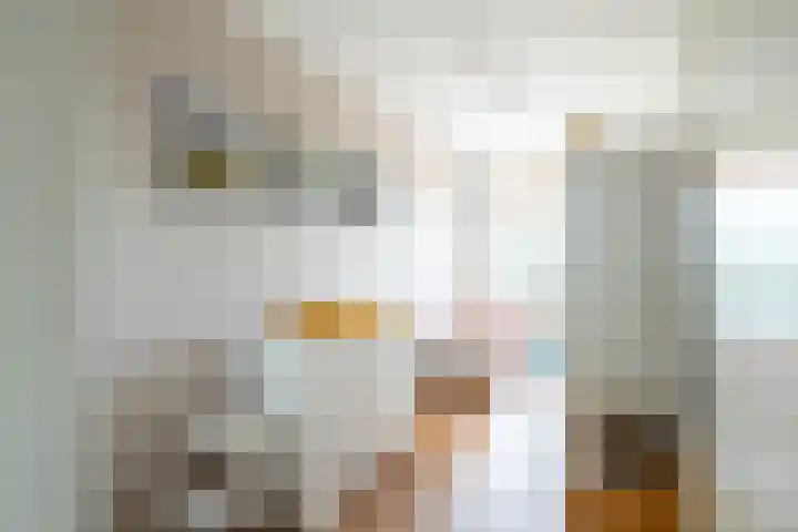 Saskia van Uijlenburgkade 14 Amsterdam thumbnail 19