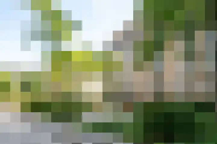 Saskia van Uijlenburgkade 14 Amsterdam thumbnail 33