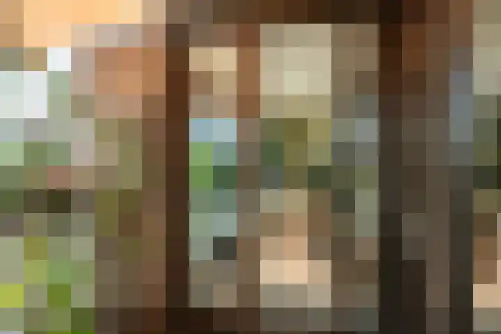 Saskia van Uijlenburgkade 14 Amsterdam thumbnail 8