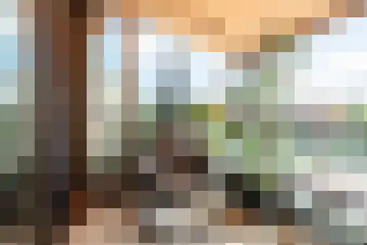 Saskia van Uijlenburgkade 14 Amsterdam thumbnail 9
