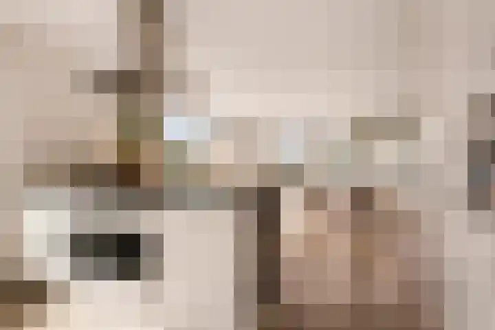 Saskia van Uijlenburgkade 154 Amsterdam thumbnail 12