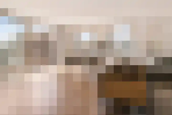 Saskia van Uijlenburgkade 154 Amsterdam thumbnail 18