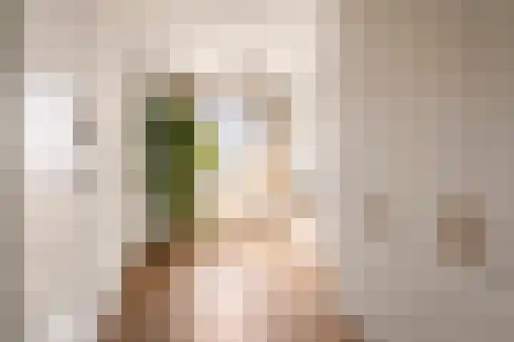 Saskia van Uijlenburgkade 154 Amsterdam thumbnail 29