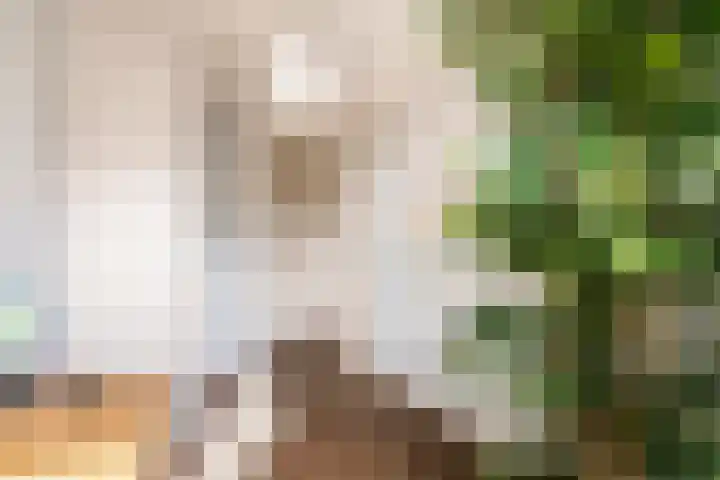 Saskia van Uijlenburgkade 154 Amsterdam thumbnail 31