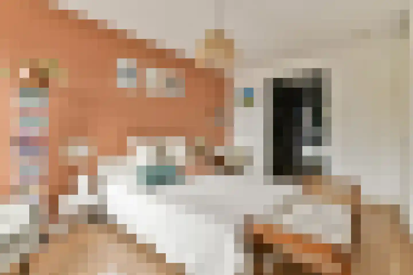 Saskia van Uijlenburgkade 2 Amsterdam thumbnail 14