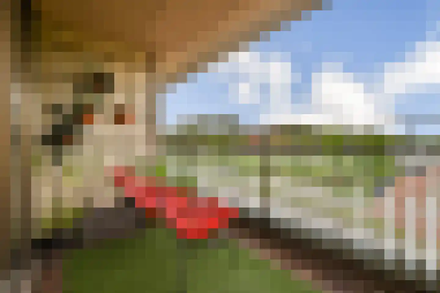 Saskia van Uijlenburgkade 2 Amsterdam thumbnail 24