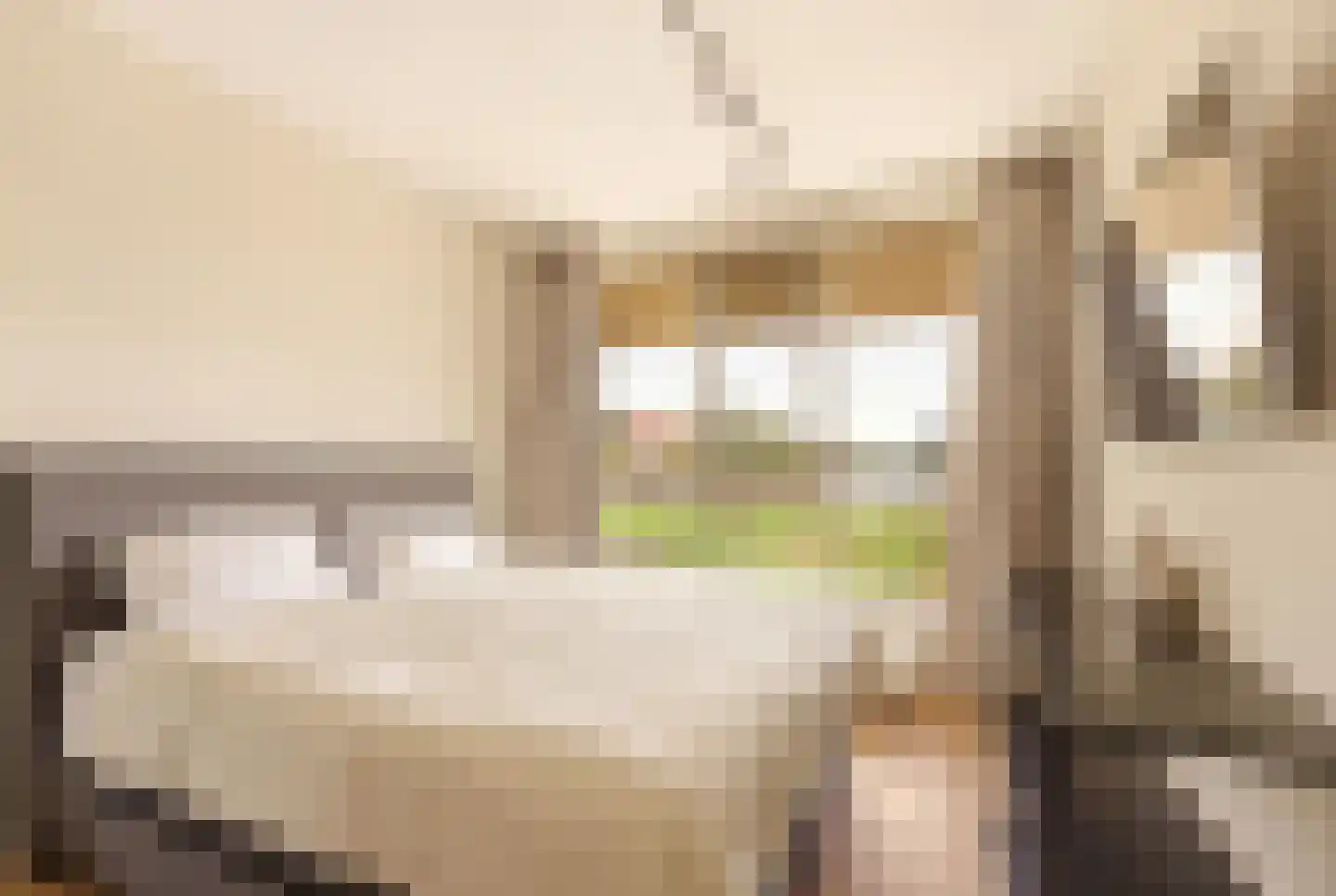 Saskia van Uijlenburgkade 3 Amsterdam thumbnail 18