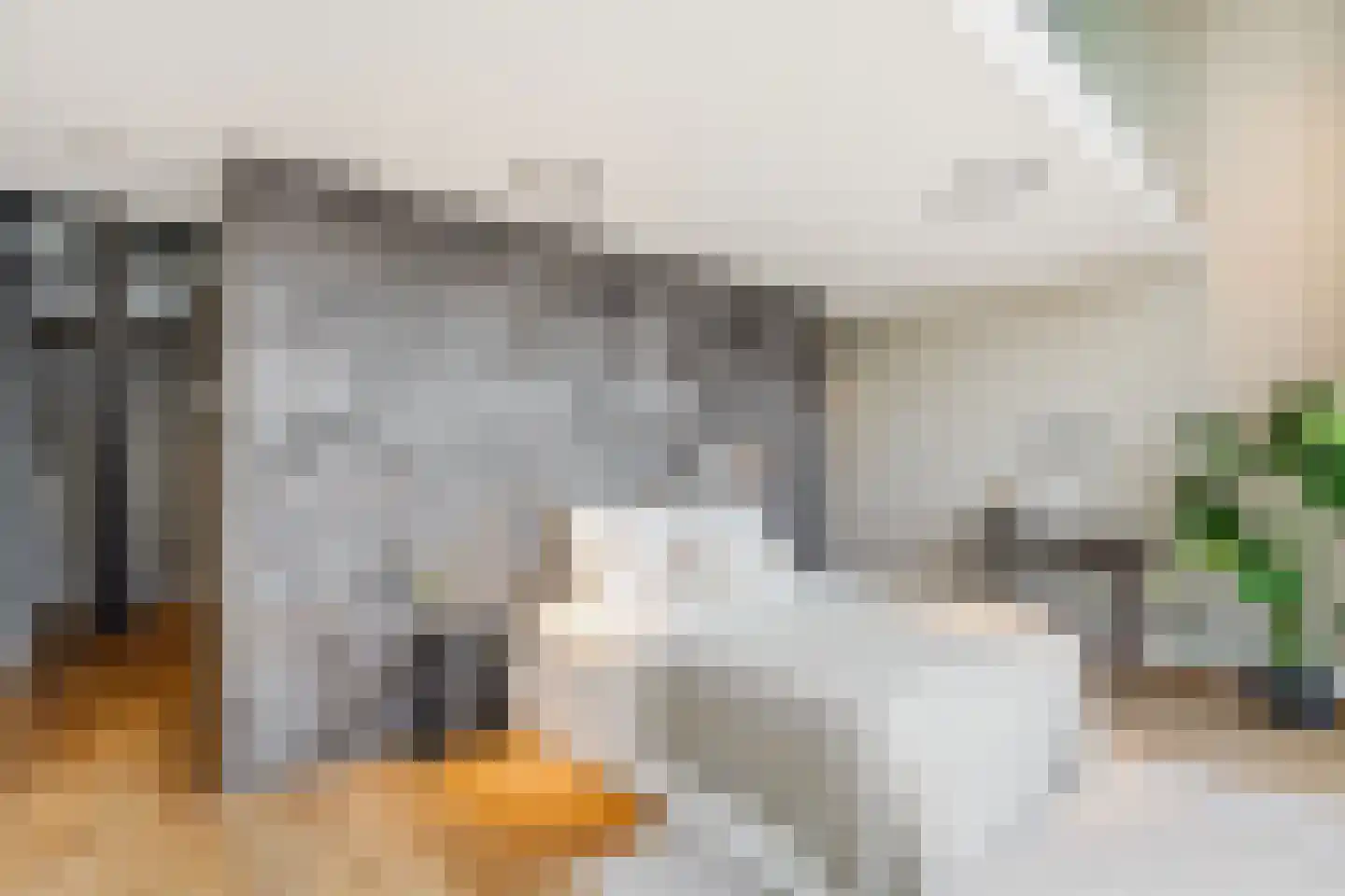 Saskia van Uijlenburgkade 45 Amsterdam thumbnail 23