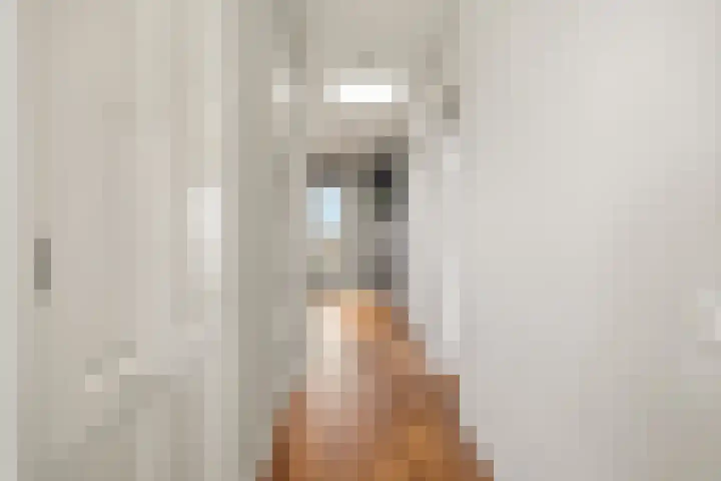 Saskia van Uijlenburgkade 45 Amsterdam thumbnail 42