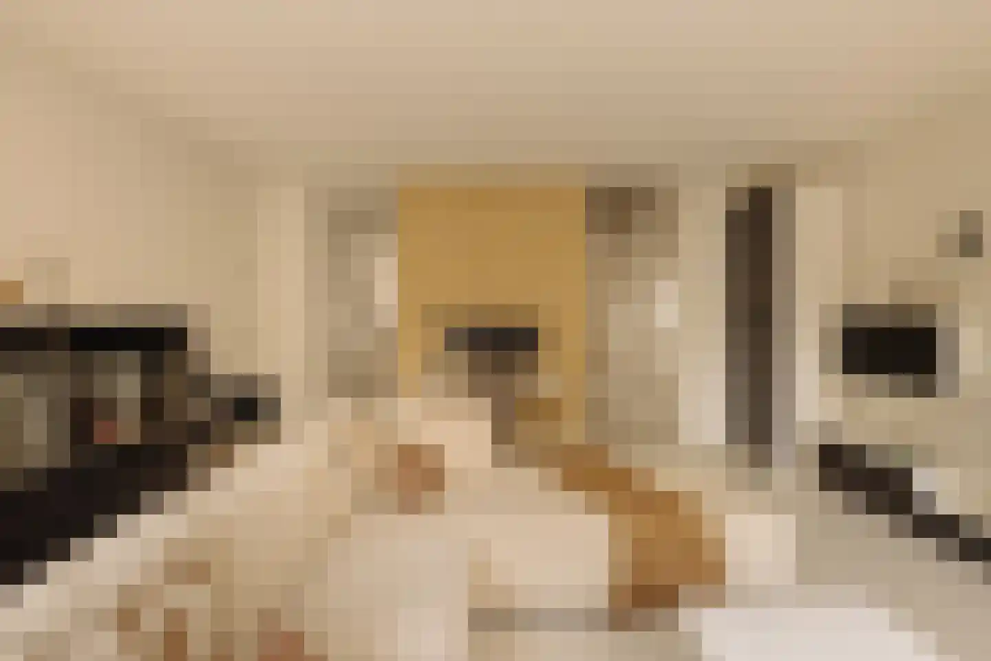 Saskia van Uijlenburgkade 47 Amsterdam thumbnail 17