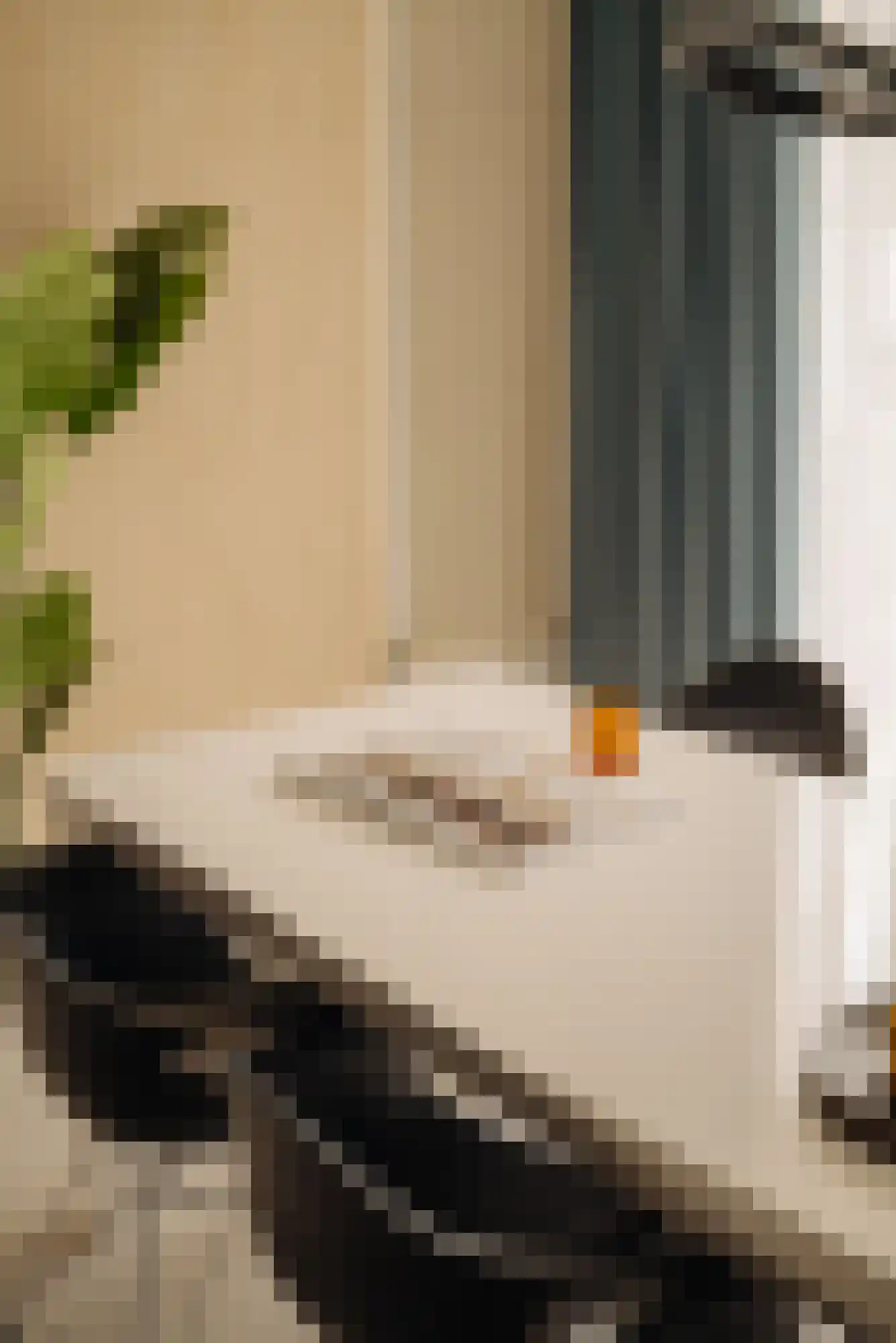 Saskia van Uijlenburgkade 47 Amsterdam thumbnail 8