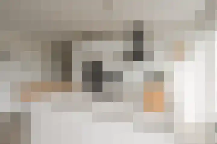 Saskia van Uijlenburgkade 61 Amsterdam thumbnail 13