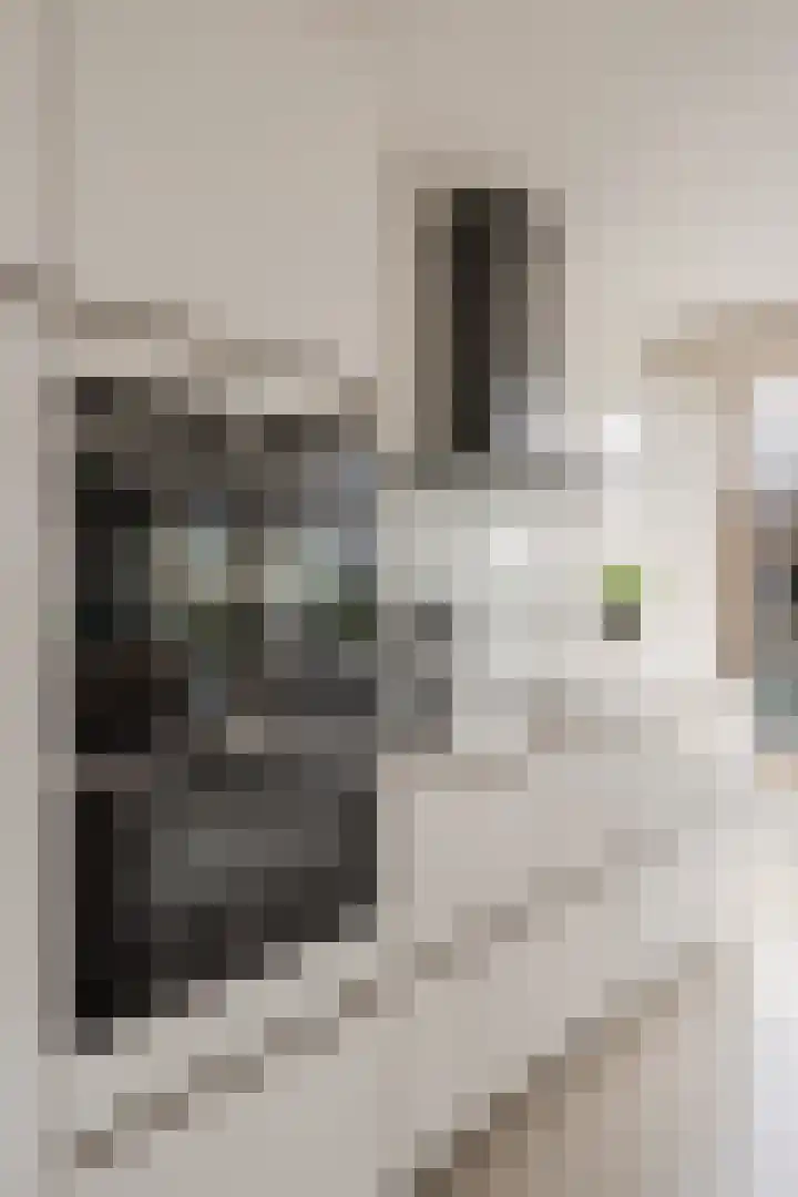 Saskia van Uijlenburgkade 61 Amsterdam thumbnail 16