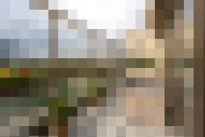 Saskia van Uijlenburgkade 61 Amsterdam thumbnail 5