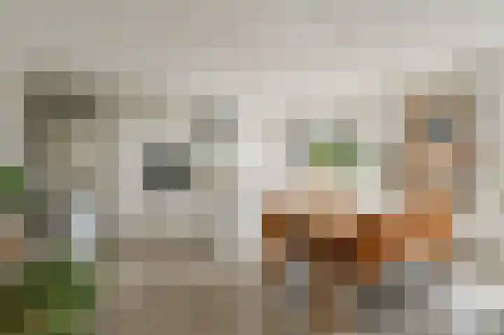 Saskia van Uijlenburgkade 61 Amsterdam thumbnail 9