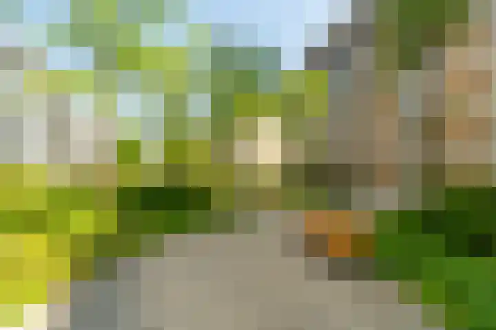 Saskia van Uijlenburgkade 65 Amsterdam thumbnail 37