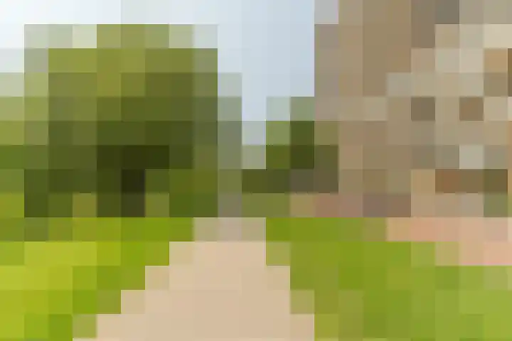 Saskia van Uijlenburgkade 65 Amsterdam thumbnail 42
