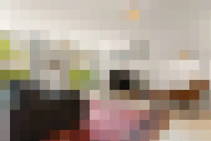 Saskia van Uijlenburgkade 65 Amsterdam thumbnail 7