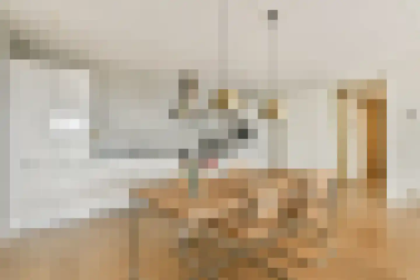 Saskia van Uijlenburgkade 82 Amsterdam thumbnail 6