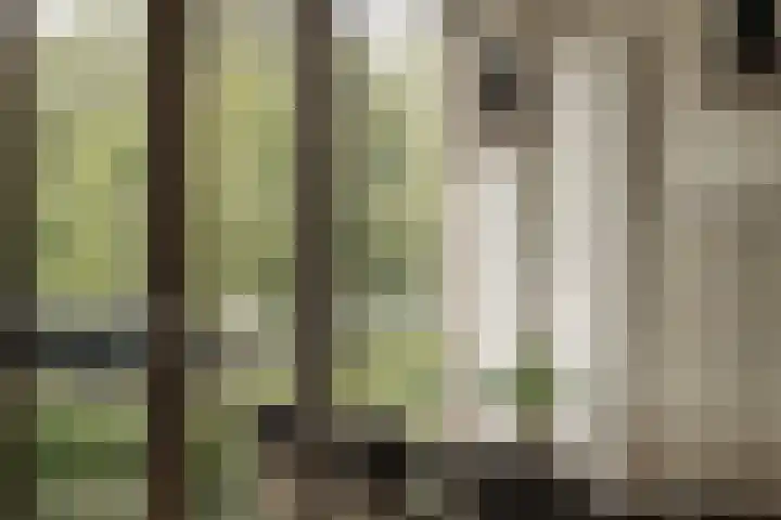 Saskia van Uijlenburgkade 89 Amsterdam thumbnail 12