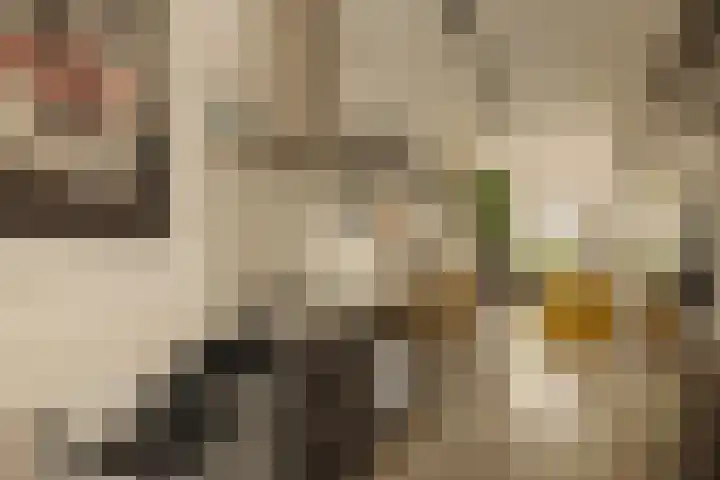 Saskia van Uijlenburgkade 89 Amsterdam thumbnail 15