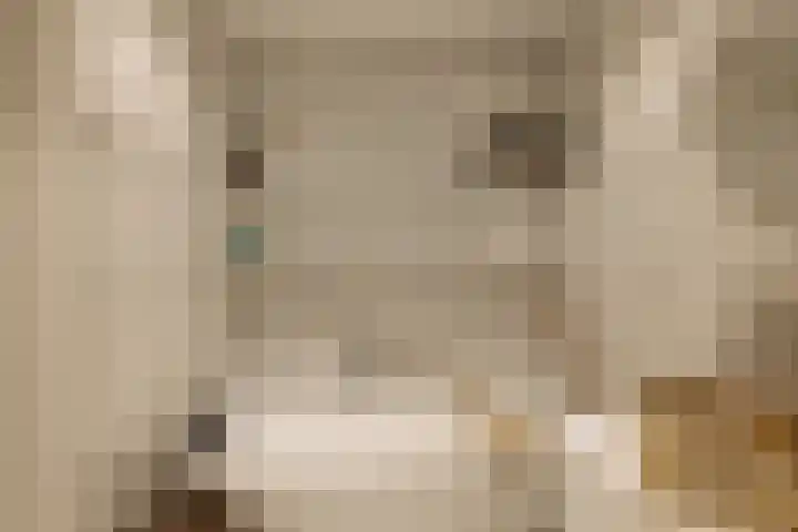 Saskia van Uijlenburgkade 89 Amsterdam thumbnail 24